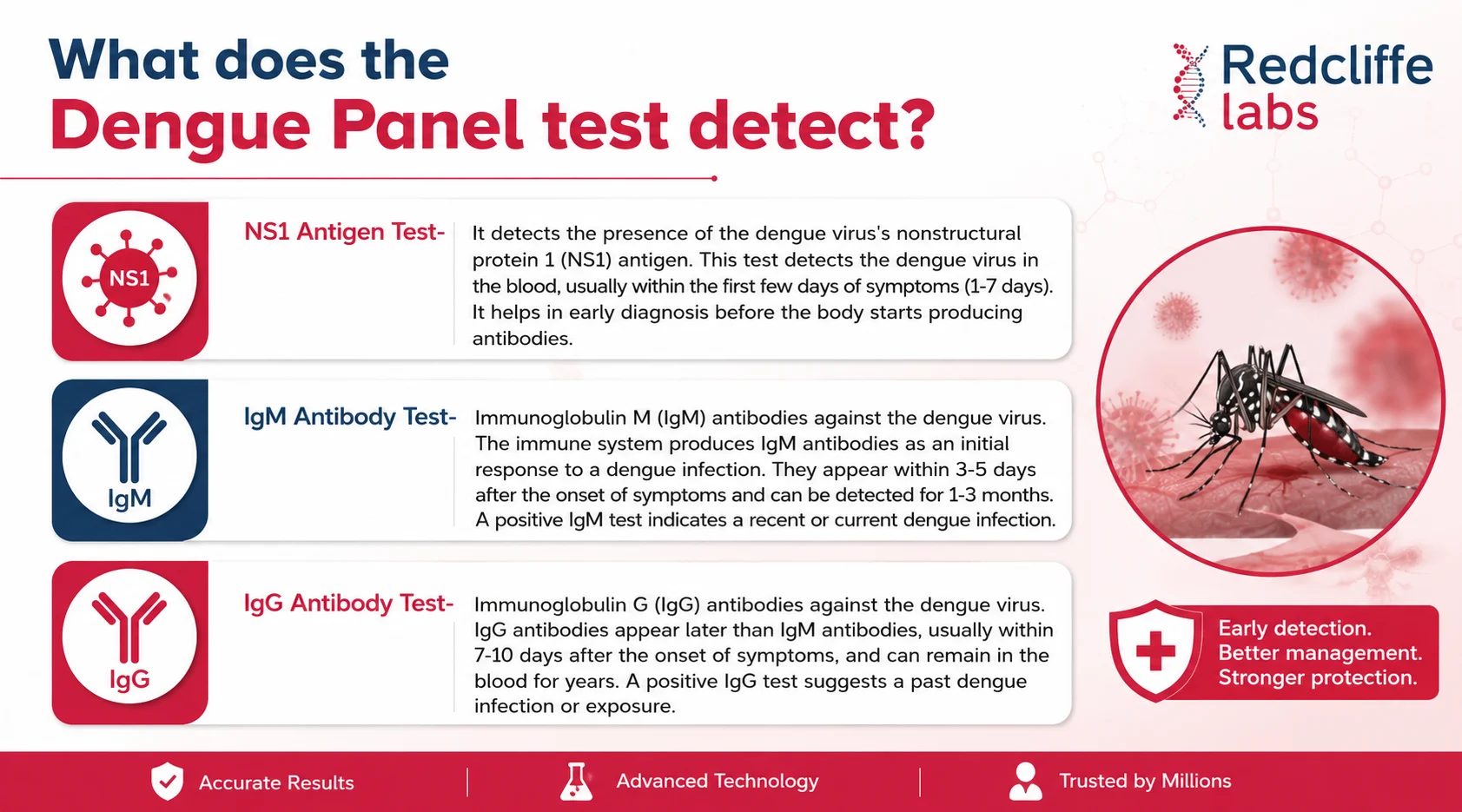 What does the Dengue Panel test detect