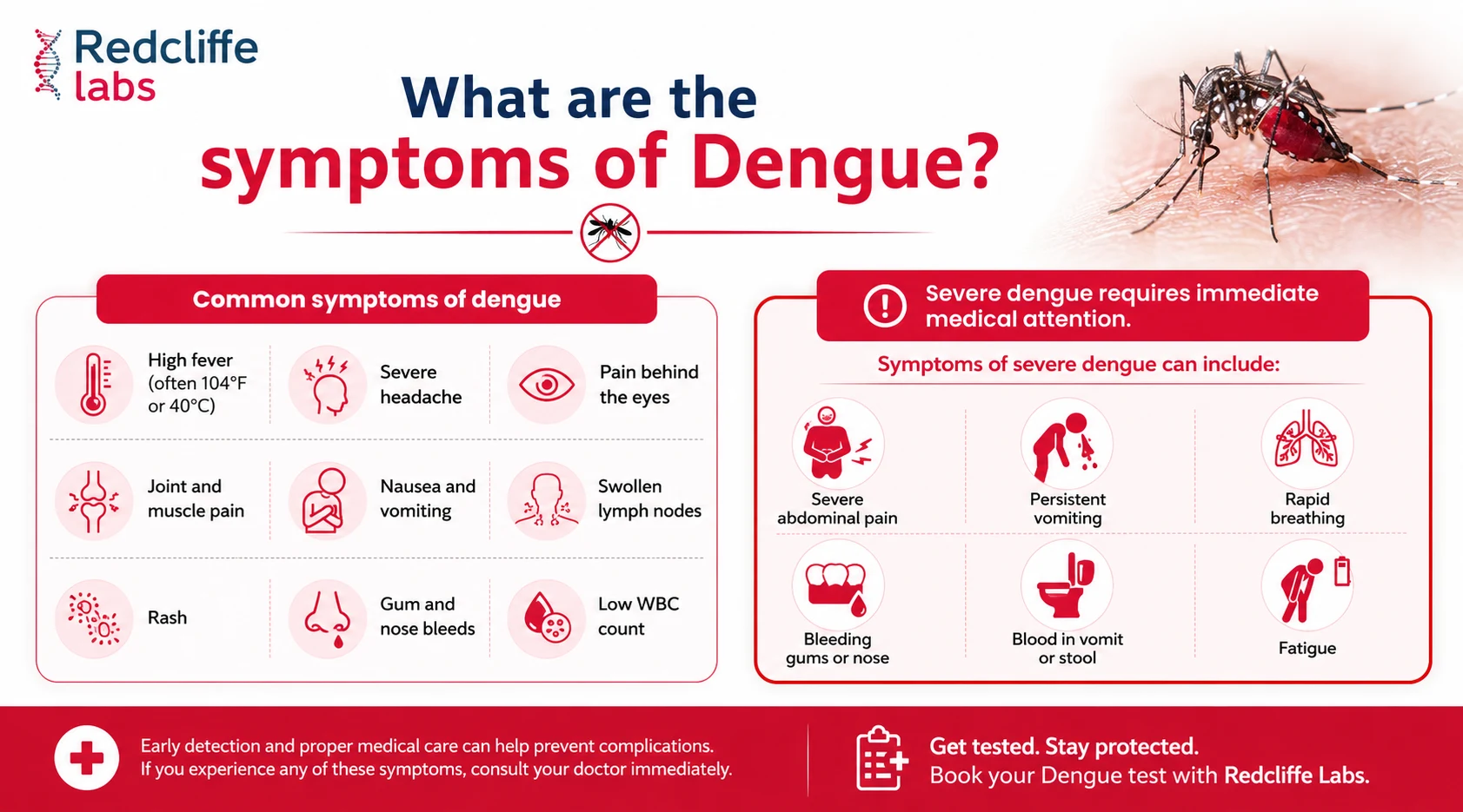 symptoms of Dengue
