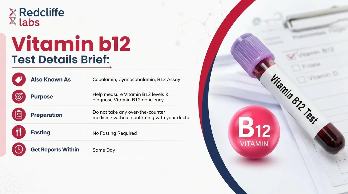 vitamin b12 test details