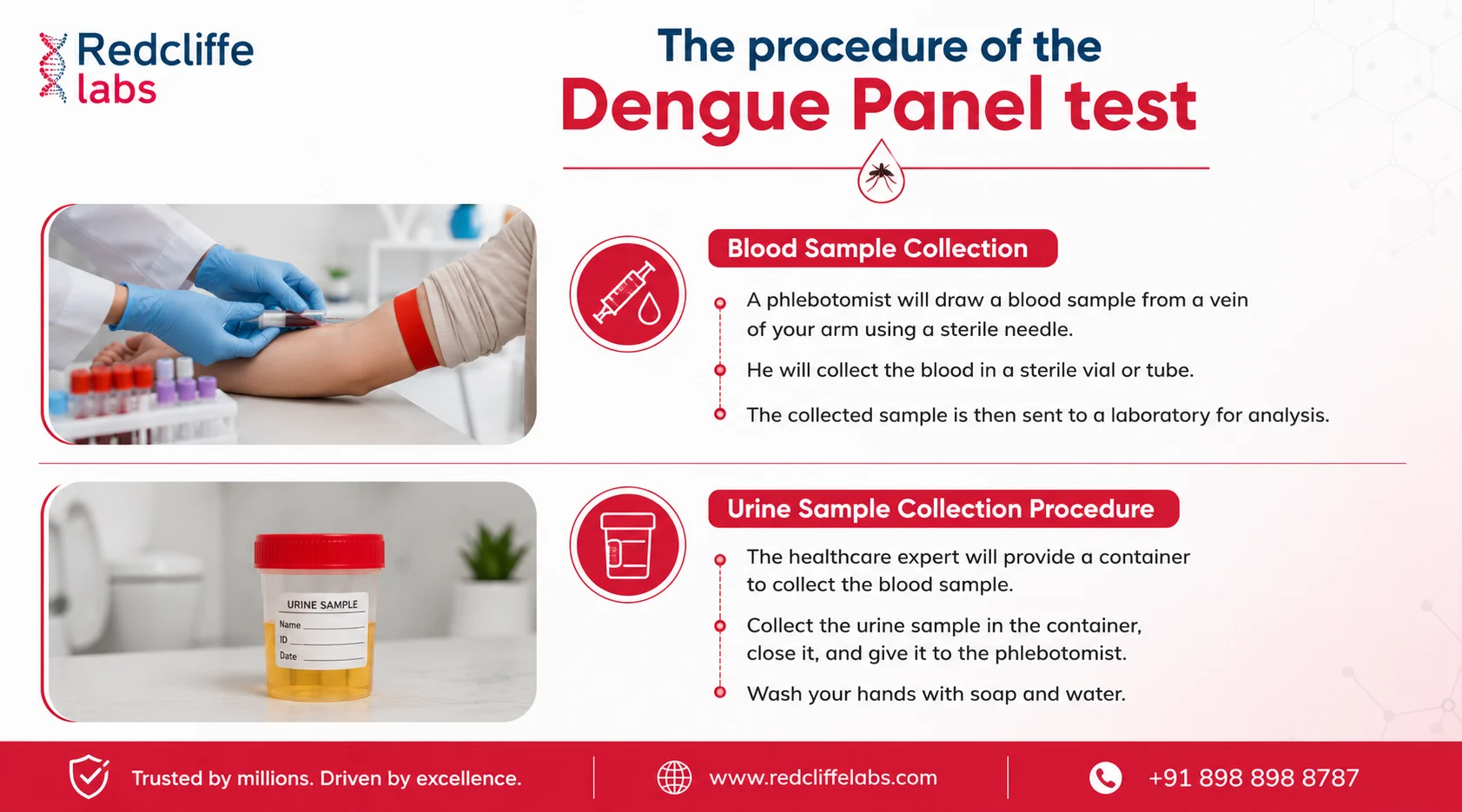procedure of the Dengue Panel test