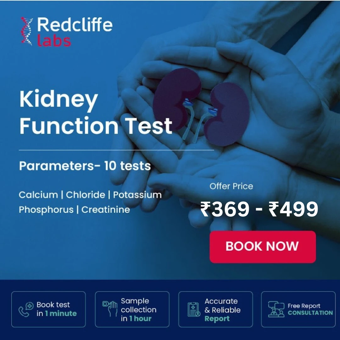 Kidney Function Test (KFT) Test Price