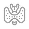 more-icon-2